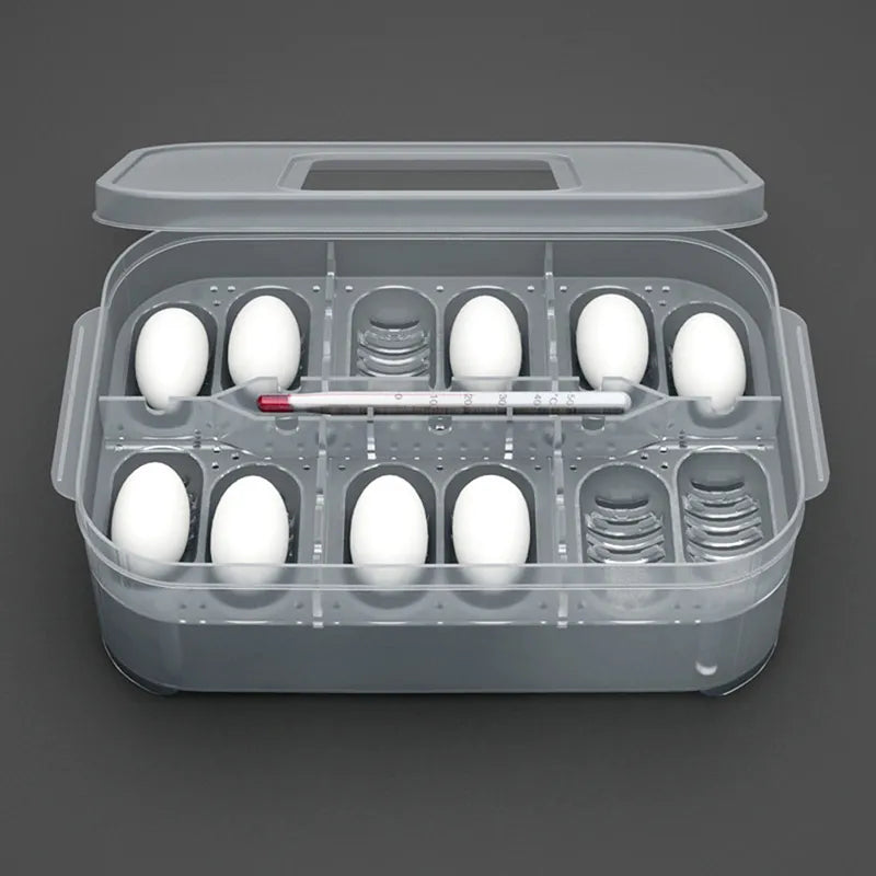 Hatch Box Reptile Egg Tray Boxes Hatching Eggs Lizard Snakes Tortoise Incubator Supplies