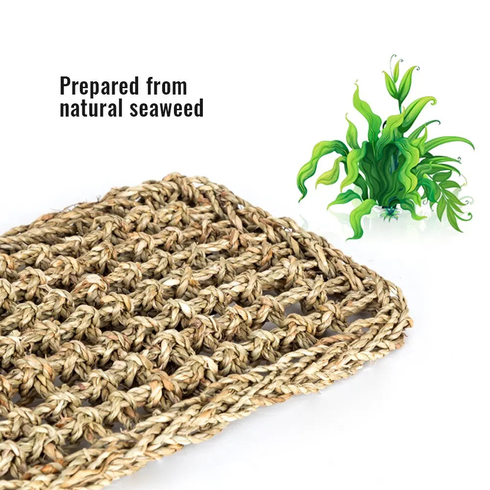 Lizard Lounger Hammock Geckos Bed Mats Pet Reptile Mat Hammock