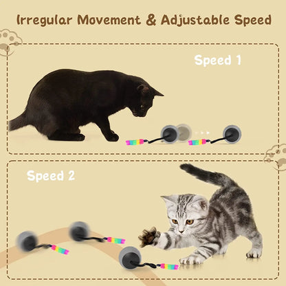 Cat Toy, Interactive Cat Toys for Indoor Cats, Automatic Moving Cat Ball LED, Two Speeds Smart Cat Toy